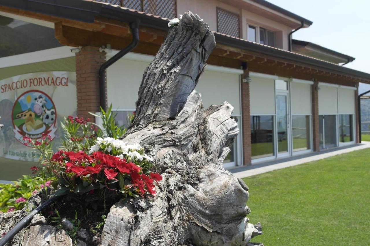 Agriturismo Fattoria Monte Baldo Vista Lago Caprino Veronese Kültér fotó