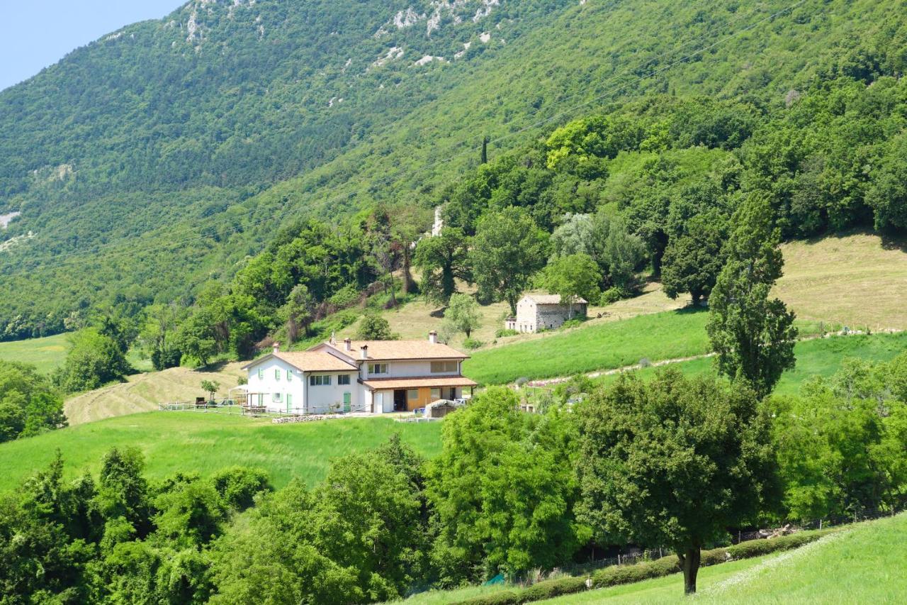 Agriturismo Fattoria Monte Baldo Vista Lago Caprino Veronese Kültér fotó
