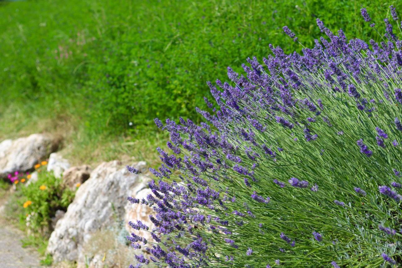 Agriturismo Fattoria Monte Baldo Vista Lago Caprino Veronese Kültér fotó